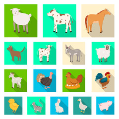 Vector illustration of breeding and kitchen icon. Collection of breeding and organic stock symbol for web.