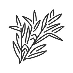 Tarragon branch black line icon. Herbs and spices. Cooking ingredient. Pictogram for web page.