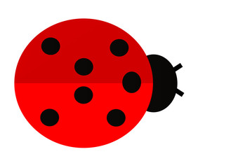 Red ladybug with spots on it. Ladybird. Children's illustrations. Illustrations. Vector.