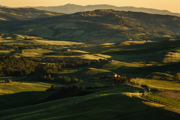 The hills of Tuscany in the sunshine and morning fog surrounded by cypress trees, as symbols of this famous region of Italy. A true classic Italian landscape.