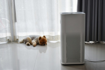 air purifier system cleaning dust pm 2.5 pollution in living room with cute dog in home