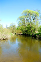 Fototapeta na wymiar rzeka drzewa lato woda