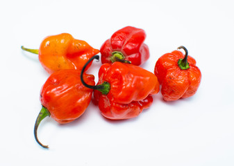 Habanero Pepper (