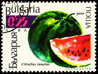 Watermelon on postage stamp