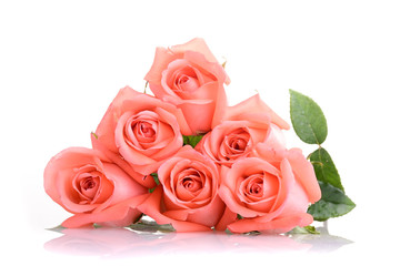 orange rose flower bouquet isolated on white background, beauty peach color tone