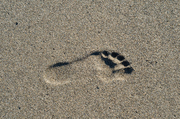 Fototapeta na wymiar Sand. Footprint on the sand. Summer background 