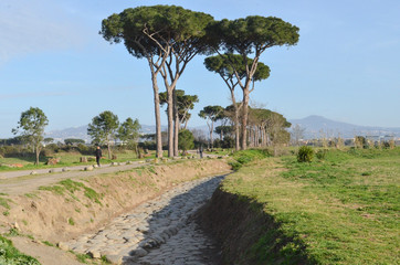 Fototapeta na wymiar panorama strada Parco degli Acquedotti Roma