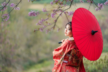 Japanese girl wearing a kimono wearing a red umbrella. Beautiful Female wearing traditional...