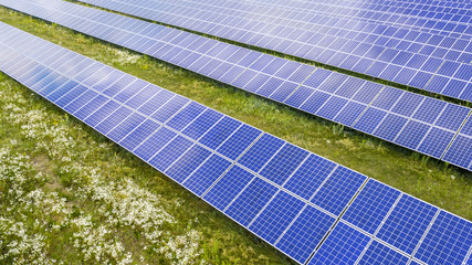 aerial view of solar panels on green lawn. drone shot, bird's eye