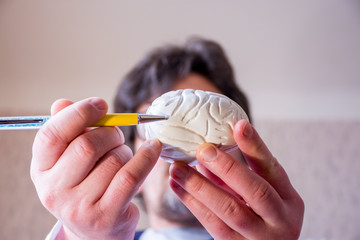 Doctor on defocused background holds in his hand anatomic model of human brain, pointing with pen in hand on brain in foreground. Localizing pathology, illness or problems with this neurological organ