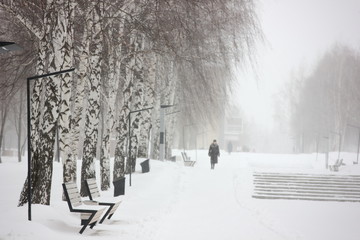 city Park alley with benches and trees during a winter snowstorm