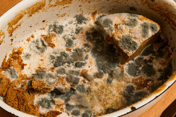 Pleśń jedzenie mould 