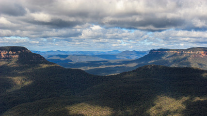 Fototapeta na wymiar Eucalyptus forests in the Blue mountains, Katomba, Leura, Sydney 