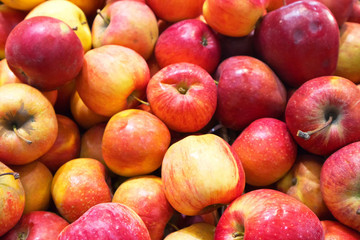 Appetizing fresh red sweet garden apples. View from above. Organic products. Fruit background