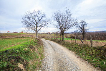 Fototapeta na wymiar Rural road , countryside view