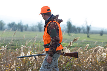 A man with a gun in his hands and an orange vest on a pheasant hunt in a wooded area in cloudy...