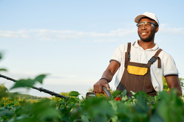 Smiling african male gardener cutting bushes with shears