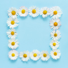 Fototapeta premium Rectangular floral frame on a light blue background