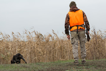 Hunting period, autumn season open. A hunter with a gun in his hands in hunting clothes in the...
