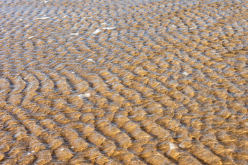 background of texture