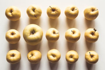 Yellow apples on a white background, wholesome food, farming, vegetarian