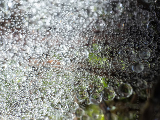 textura gotas de agua