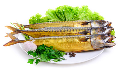 mackerel