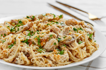roasted turkey tetrazzini on a white plate