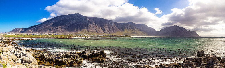 Panorama of Betty's Bay at Stony Point, view to the ocean with cormorants on the water, the coast and some mountains, South Africa