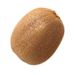 kiwi fruit on white background 