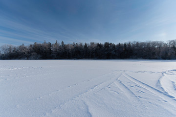 阿寒湖の雪と林