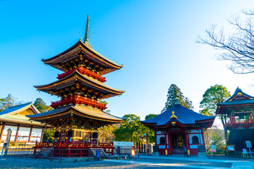 Pagoda at Narita-san Shinsho-ji temple, near Tokyo, Japan