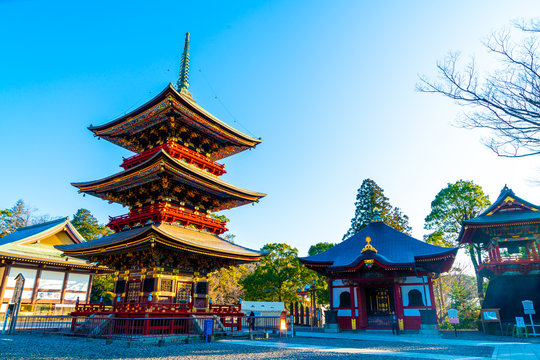 Pagoda at Narita-san Shinsho-ji temple, near Tokyo, Japan