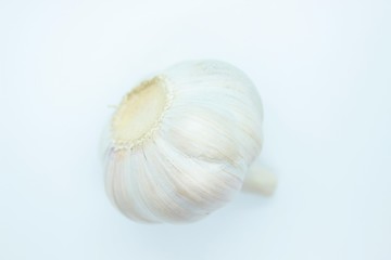 Head of garlic located on a white background