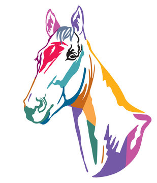 Colorful decorative horse 12