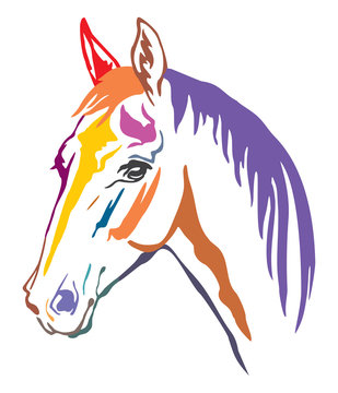 Colorful decorative horse 11