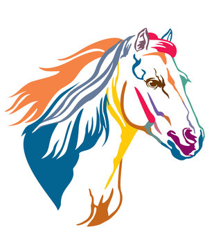 Colorful decorative horse 13