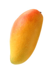 Mango on a white background