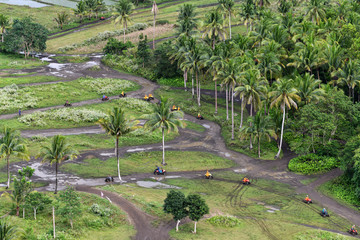 tropical jungle quad bike bohol island philippines © константин константи
