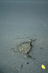 Road Hole