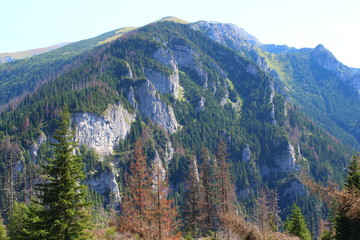 góry