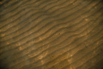 Woman portrait in  coat on sea beach 