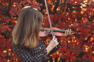 beautiful young woman playing violin on a background of red foliage, romantic girl in dress playing...