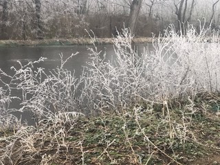 Winterlandschaft