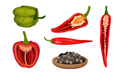 Crossed Cut Bell Pepper and Red Hot Pepper Vector Set