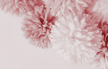 Beautiful abstract color brown and red flowers on white background and light brown flower frame and red leaves texture, yellow background, white banner happy valentine