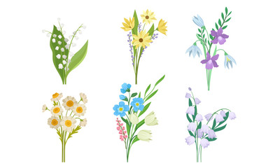 Spring Flowers Growth Vector Set. Colorful Garden and Wild Plants Growing in Spring