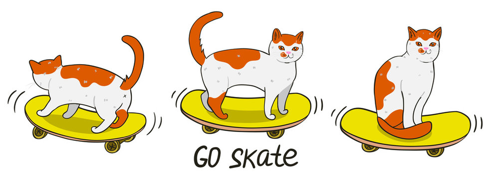 Cats on skateboards isolated on a white background. Vector graphics.