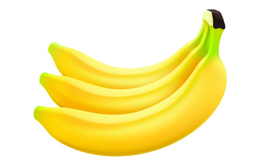 Bananas in realistic style, 3d vector. Bunch of bananas isolated on white background.