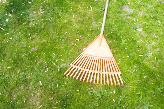 rake lying on the grass. Spring and summer cleaning in the garden